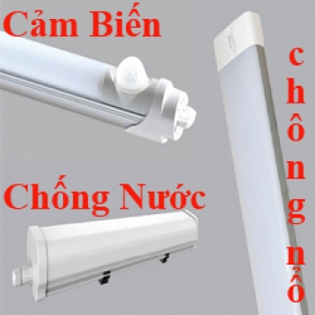 Bộ LED Tube Cảm Biến, Chống Nổ, Chống Nước